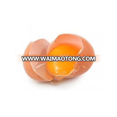 VIET NAM fresh brown chicken eggs