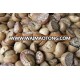 TOP QUALITY BETEL NUT / DRIED BETEL NUT - ARECA NUT