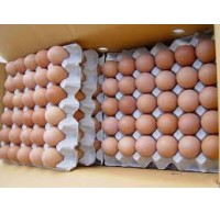 Fresh Eggs