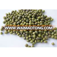 Good Quality Raw Green Mung Beans