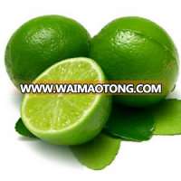 Seedless Lime | Jason +84 979 004 967