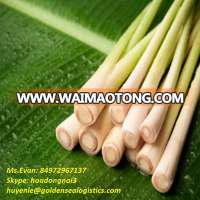 BEST PRICE - HIGH QUALITY - LEMONGRASS from VIET NAM