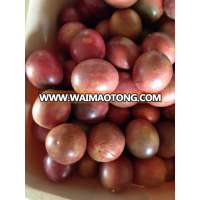 [Big Sales] Fresh Passion Fruit - Viet Nam origin