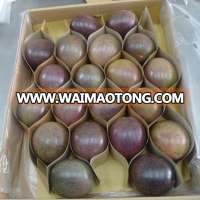 Fresh Passion Fruit from Viet Nam (Global Gap Certificate)