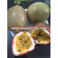 High quality Fresh Passion Fruit From Viet Nam