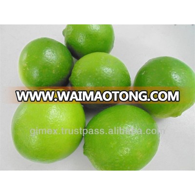 Vietnam seeless Lime ; +84984418844 whatsapp