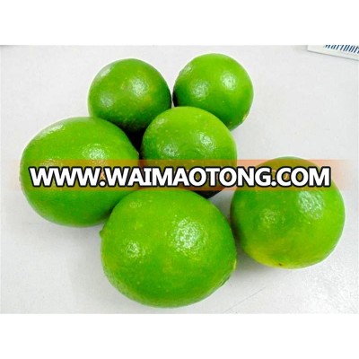 fresh seedless Lime price cheap