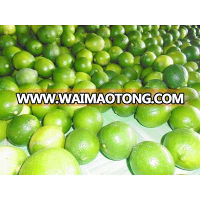 A Number of Quality Seedless Lemons in Viet Nam - Gimex Viet Nam