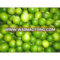 Quality Seedless Lemons - Gimex Viet Nam