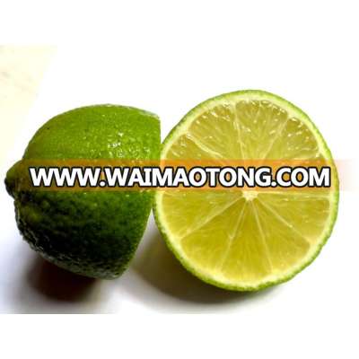 viet nam fresh lime cheap