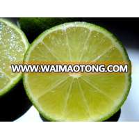 Fresh Lemon/ seedless Lime With best price Viet Nam