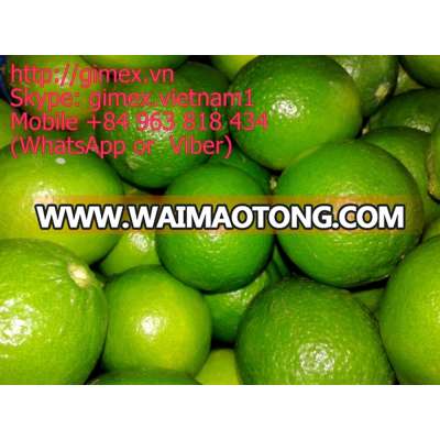 gimex viet nam fresh seedless lime 2016