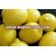 Fresh Lemon, seedless lemon, fresh lime, Adalia, Verna, Citrus fruits, Oranges, Mandarin, Tangerine, Naval