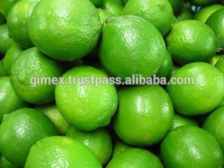 Fresh seedless lime export to dubai