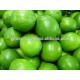 Fresh seedless lime export to dubai