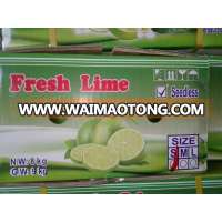 Lemon Viet Nam 2015 high quality