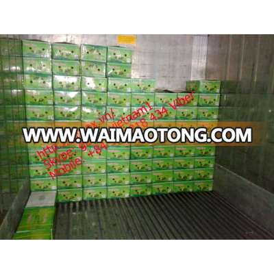 fresh lemon high quality seedless Gimex VN 2015