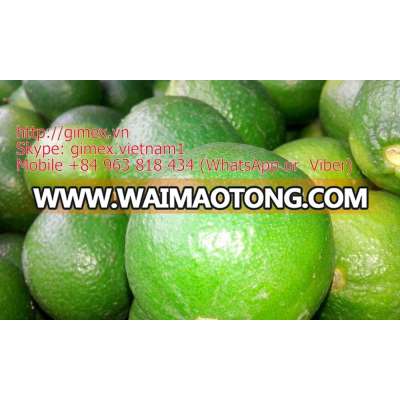 VIETNAM 2015 FRESH LIME