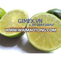 Fresh green Lemon / seedless lime