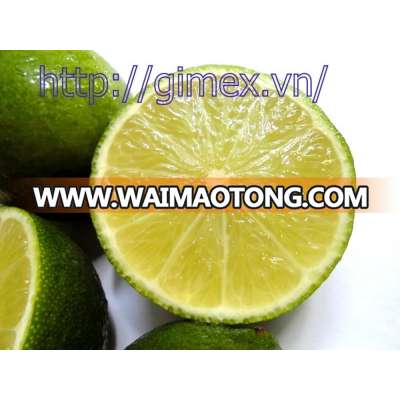 Seedless lime and lemon high quality 2016