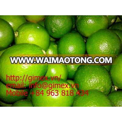 Viet Nam fresh lemon 2015