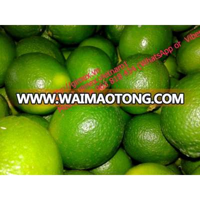 Fresh lime +84984418844 whatsap