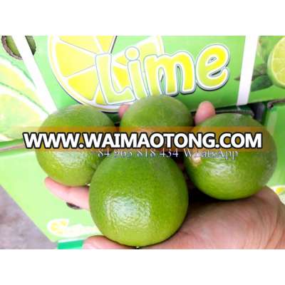 VIETNAM FRESH LIME AND LEMONS