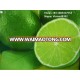 Fresh seedless lime and seedless lime- Lemon , 500-650 usd/ton