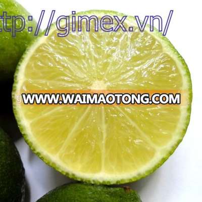 Fresh Lemon/seedless Lime best price 2018