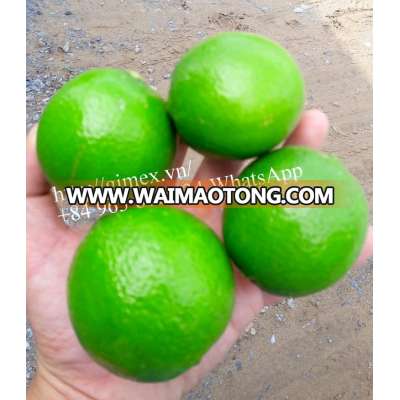 FRESH LIME & FRESH LEMON BEST PRICE