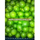 Fresh Lime for Sell/ Trusted Supplier ( Sky; Vivian48392)