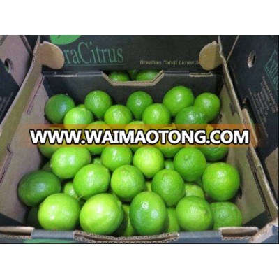 FRESH LIME to Dubai market +84984418844 whatsapp