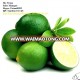 Fresh Lime-Fresh Lemo for Sell/ Farm Price ( Skype; Vivian48392)