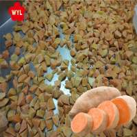 China Best Price IQF Frozen Steamed Sweet Potato