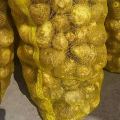 FRESH TARO from VietNam 0084984418844 whatsapp