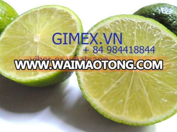 fresh lime VIET NAM 2015