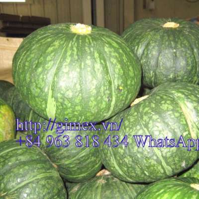 Vietnam Fresh Pumpkin +84963818434 whatsapp