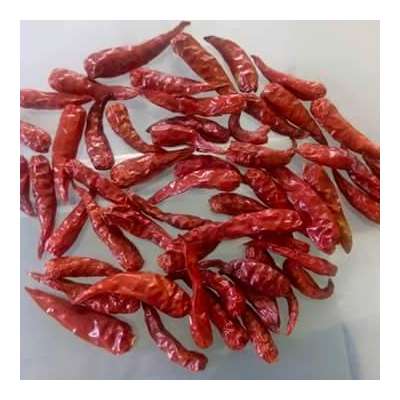 Dried hot Chilli 0084984418844 whatsapp