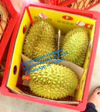 FRESH DURIANS monthong from vietnam