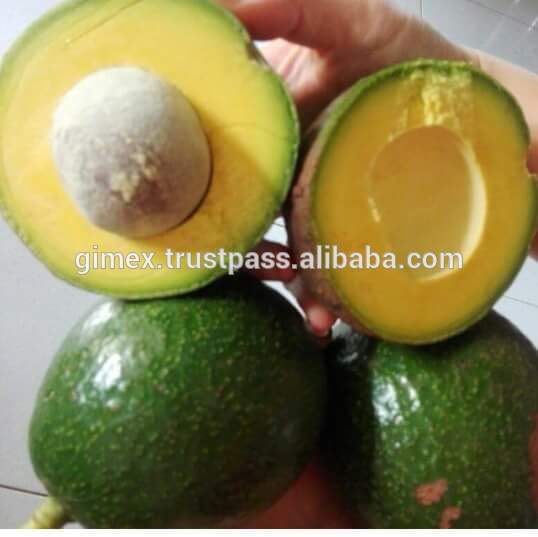 Booth Avocado+84984418844 whatsapp