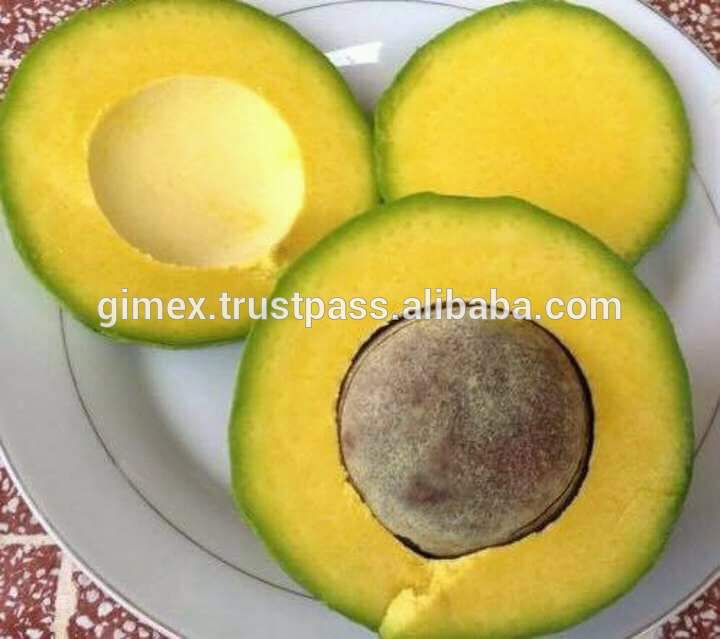 VIETNAM FRESH AVOCADO +84984418844 whatsapp