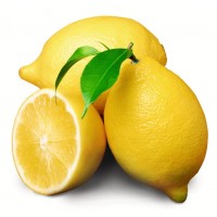 PREMIUM PRICE FRESH & FROZEN LEMON VIETNAM WITH HIGH QUALITY